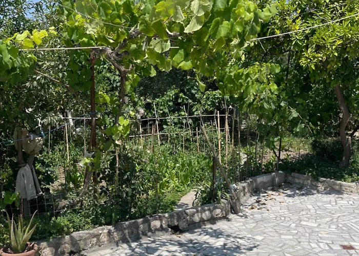 Ziu Dom wakacyjny Dimal