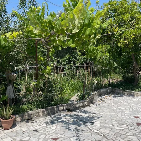 Ziu בית נופש Dimal