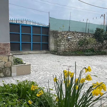 Holiday home Ziu Dimal